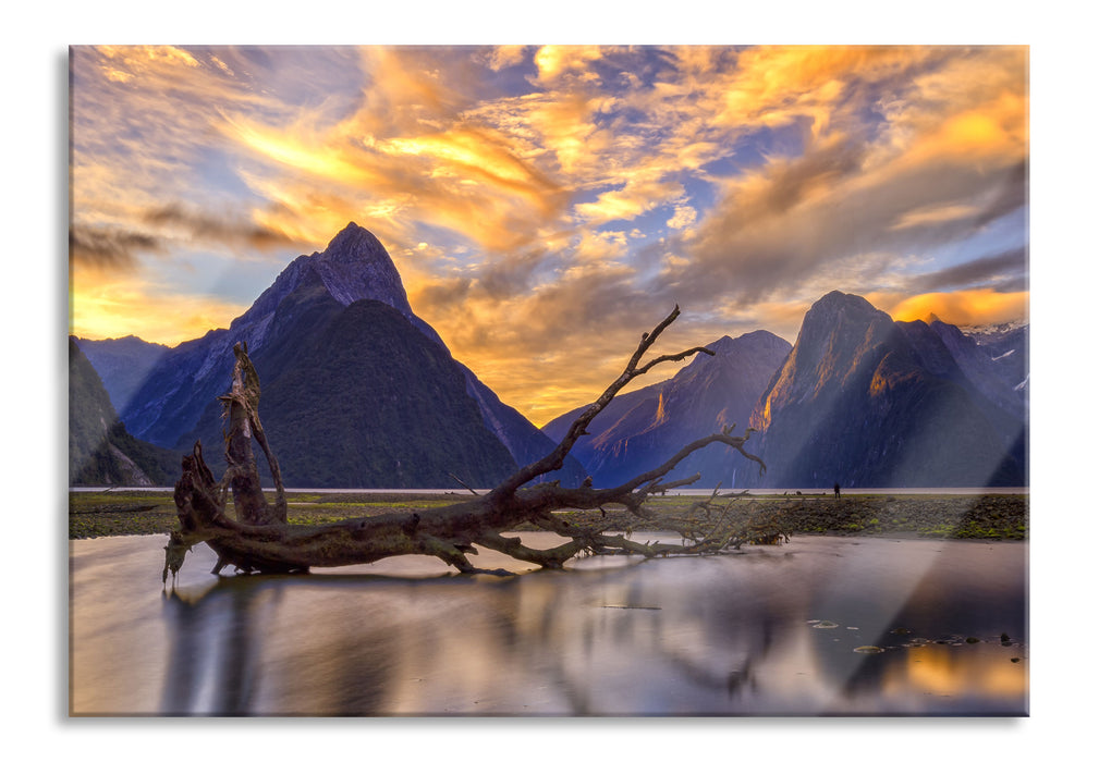 Pixxprint Baum in Berglandschaft, Glasbild