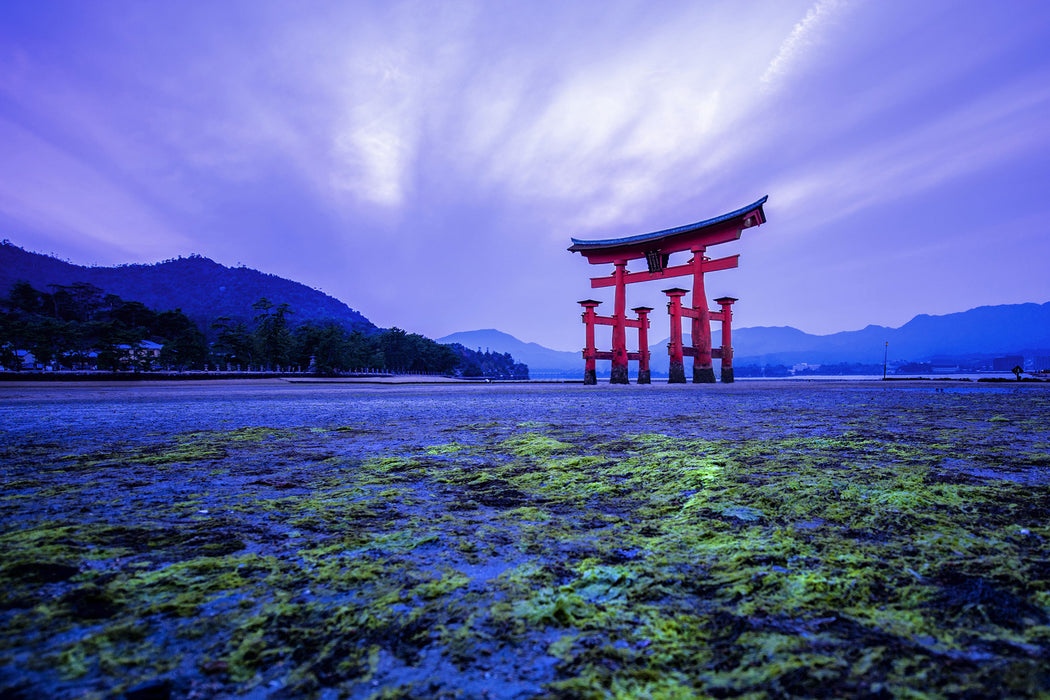 Torii in Hiroshima Japan, Glasbild