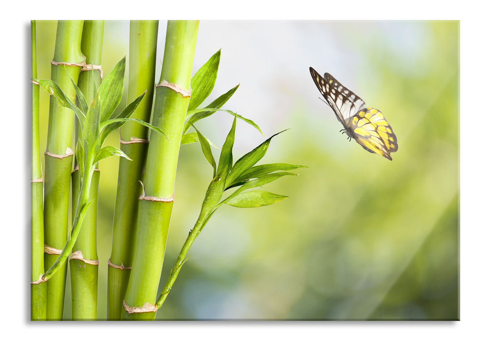 Pixxprint Bambus mit Schmetterling, Glasbild