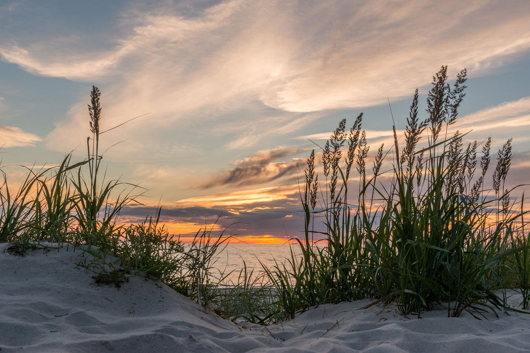 Gras am Strand bei Sonnenuntergang, Glasbild