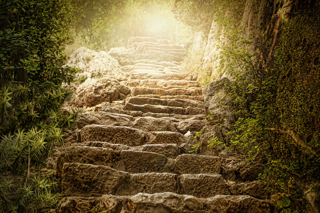 Schöne alte Steintreppe, Glasbild