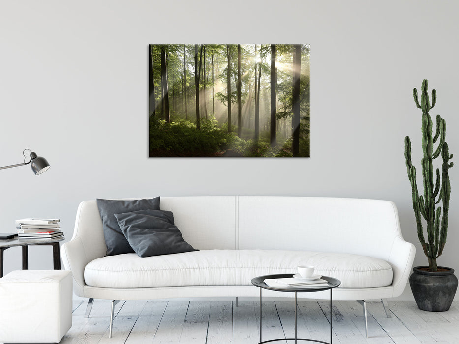 Sonnenstrahlen im Wald, Glasbild