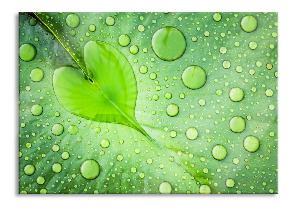 Herz aus Tautropfen Blatt, Glasbild