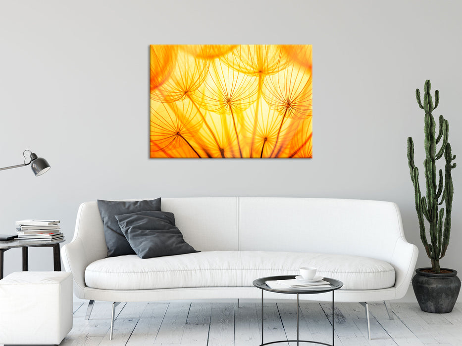 Pusteblumen oranges Licht, Glasbild