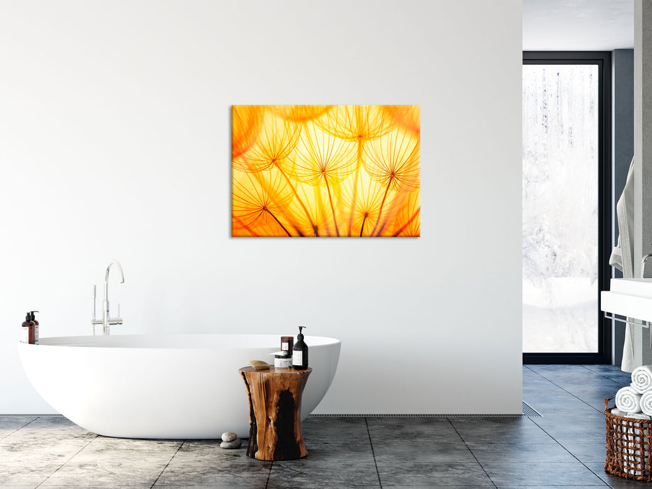 Pusteblumen oranges Licht, Glasbild