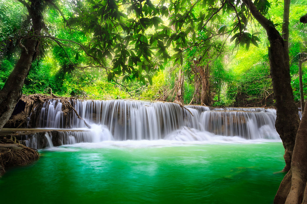 Kleiner Wasserfall im Dschungel, Glasbild