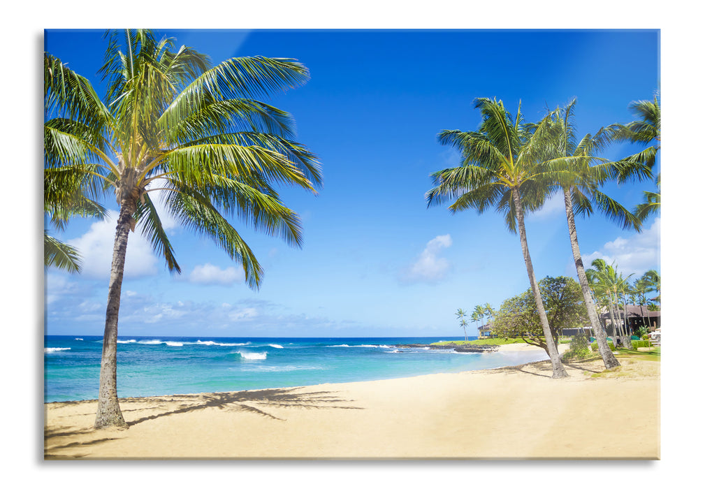 Wunderschöner Strand mit Palmen, Glasbild