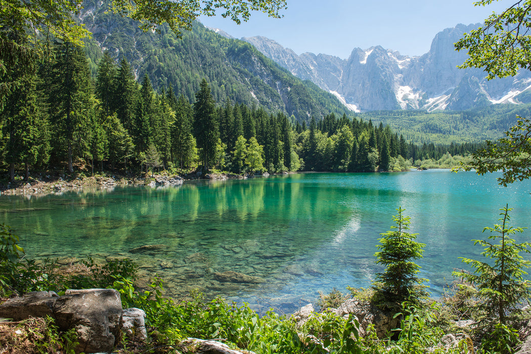 Wunderschöner See im Wald, Glasbild