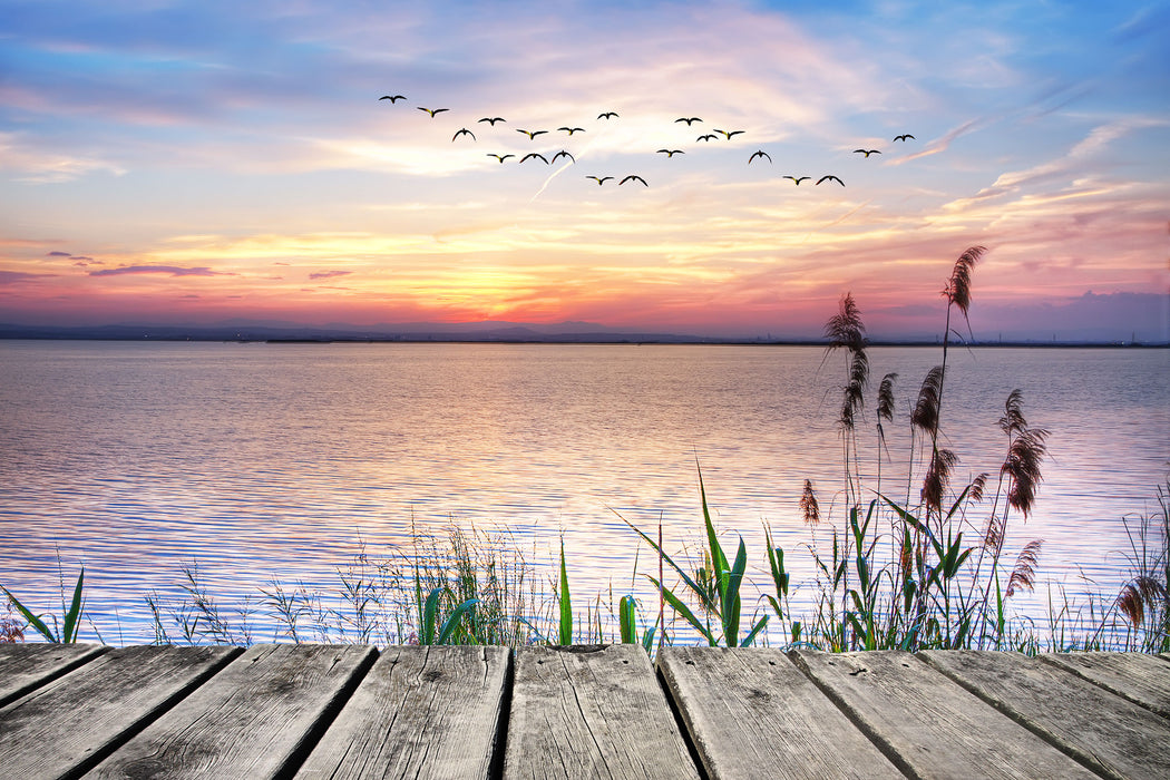 Steg mit Ausblick aufs Meer, Glasbild