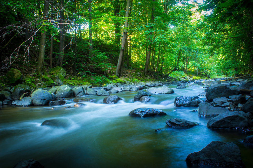 Fluss mit Steinen, Glasbild