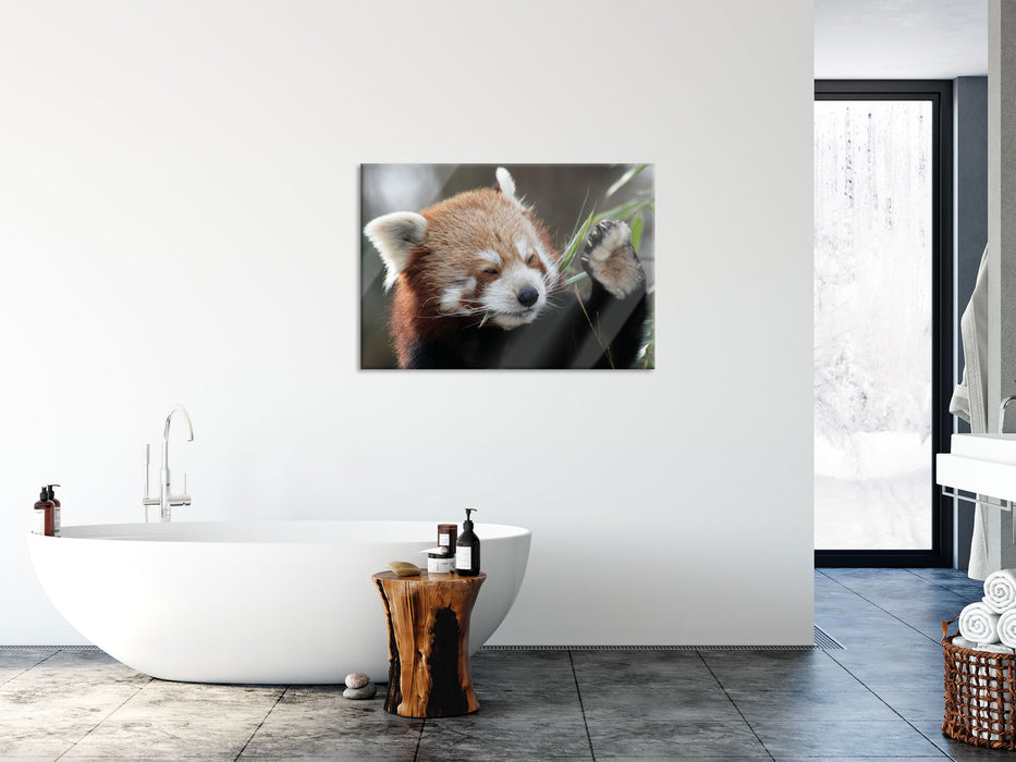 Kleiner Panda sagt Hallo, Glasbild