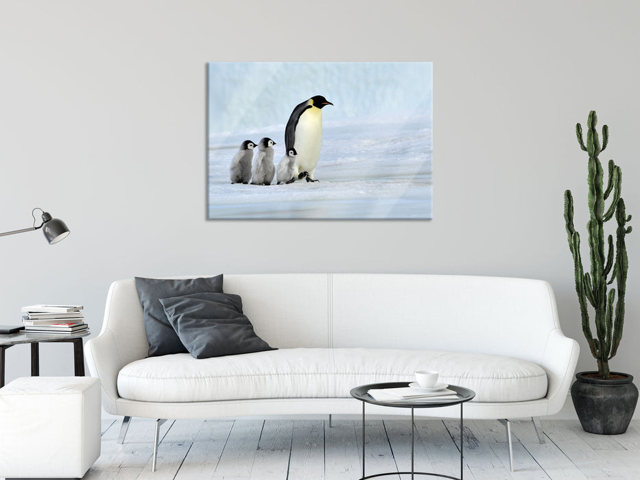 Kaiserpinguine im Schnee, Glasbild