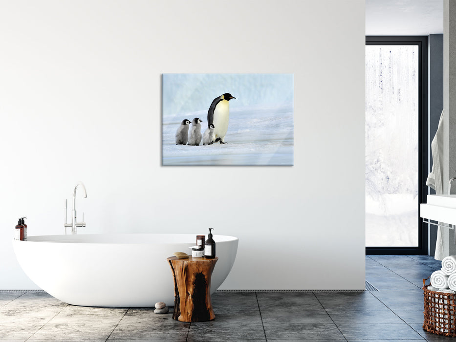 Kaiserpinguine im Schnee, Glasbild