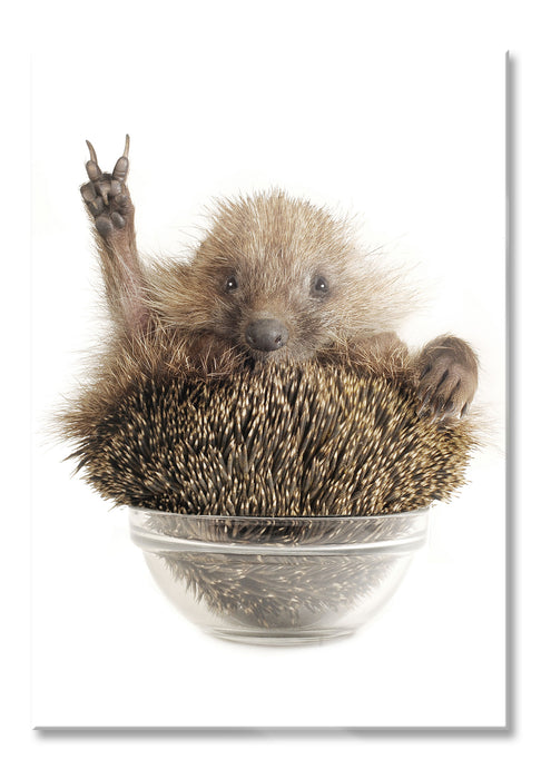 Igel in einer Schüssel Peace, Glasbild