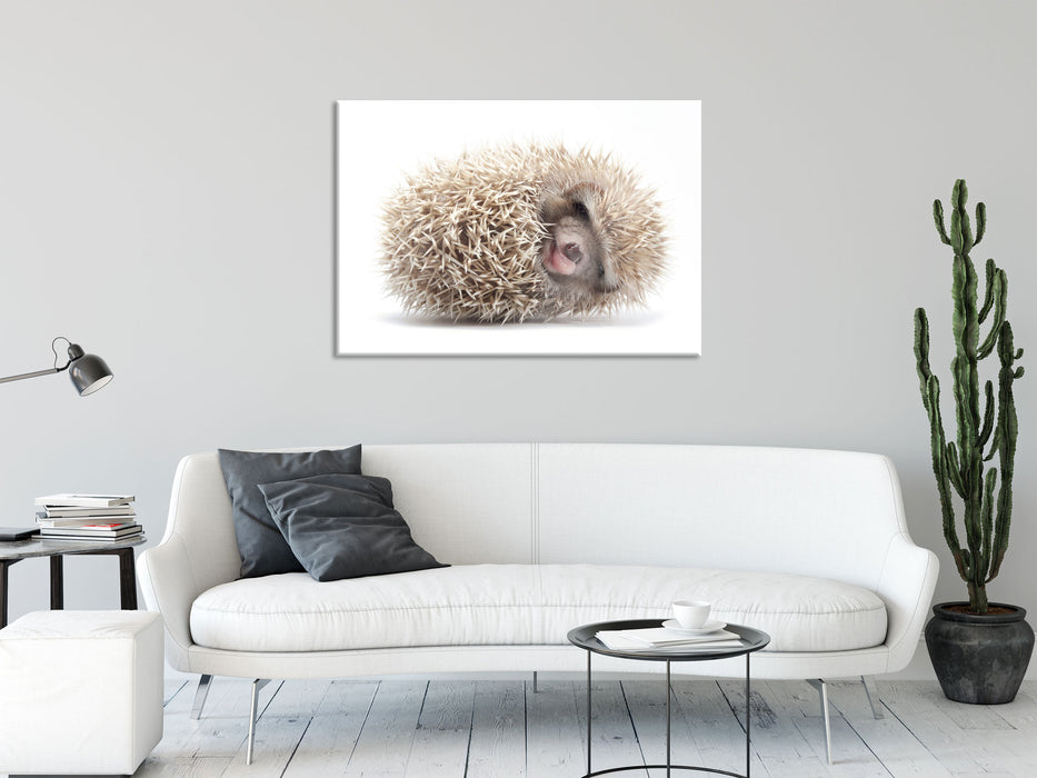 kleiner niedlicher Baby Igel, Glasbild