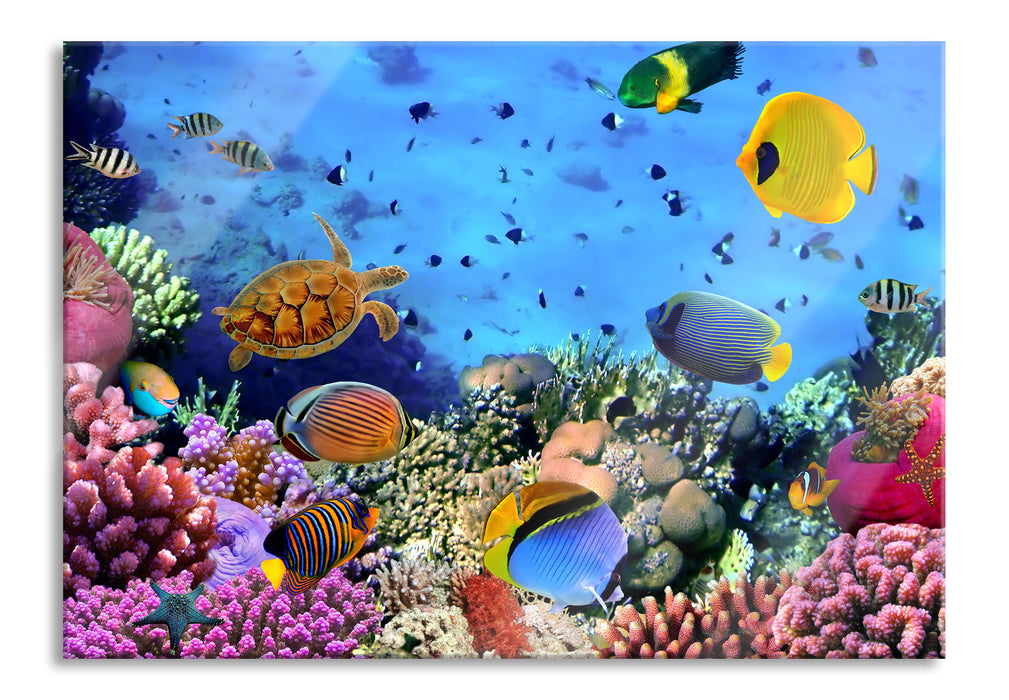 Pixxprint Fische über Korallenriff, Glasbild