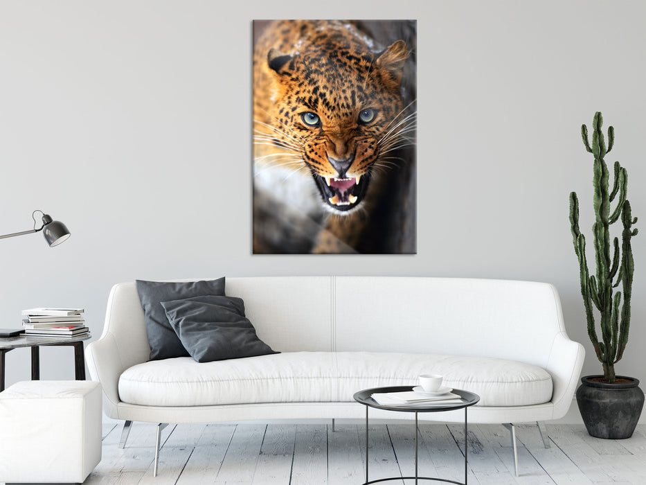 Fauchender Leopard, Glasbild