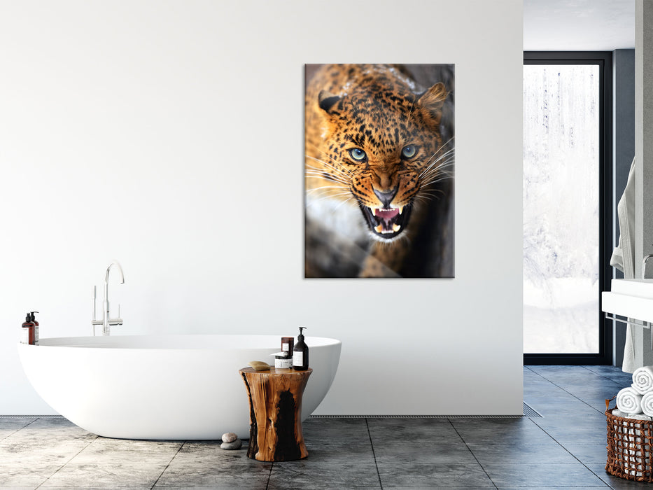 Fauchender Leopard, Glasbild