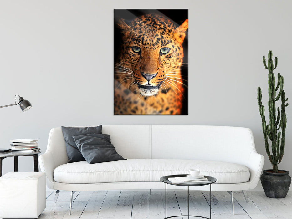 Stolzer Leopard, Glasbild