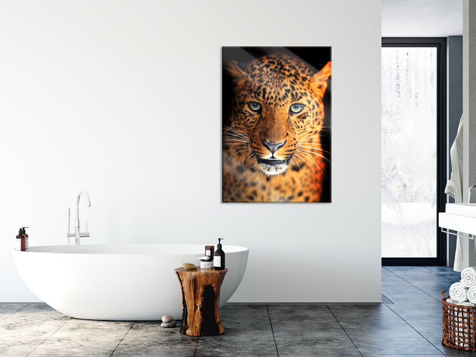 Stolzer Leopard, Glasbild