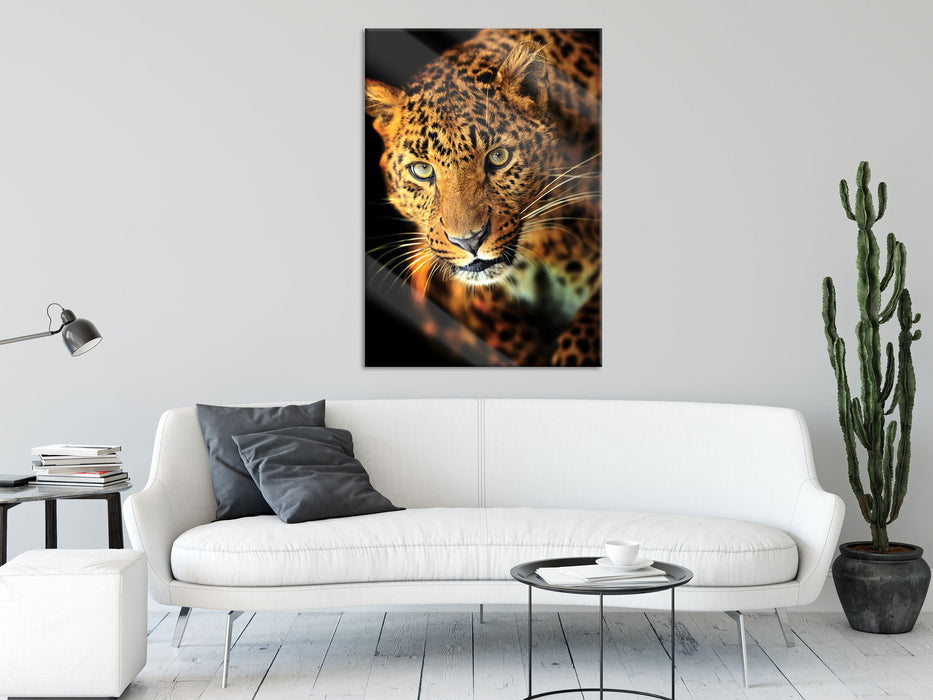 Anmutiger Leopard, Glasbild