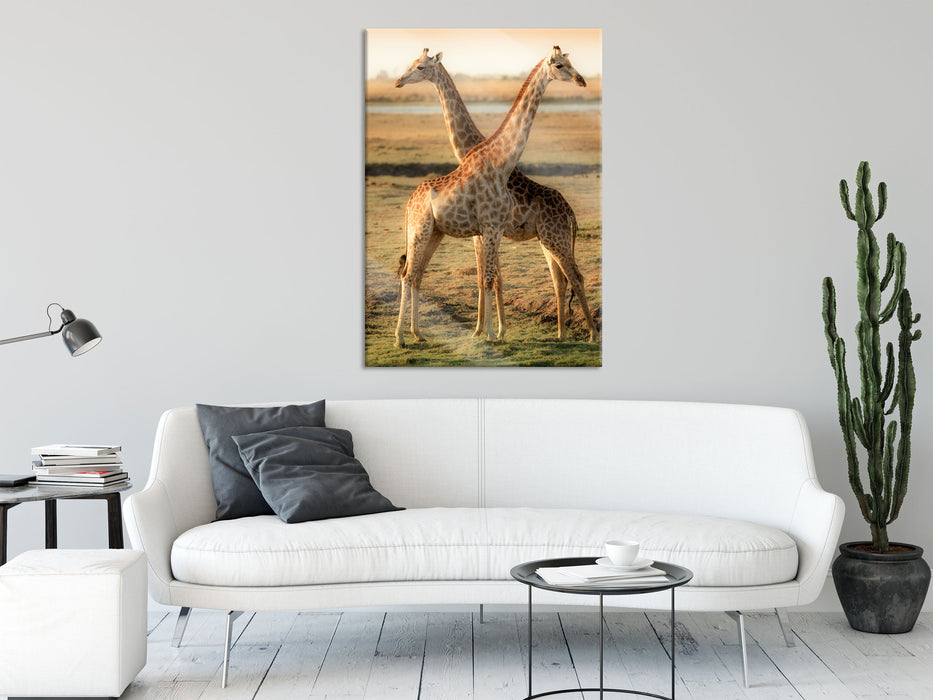 Giraffen Paar, Glasbild