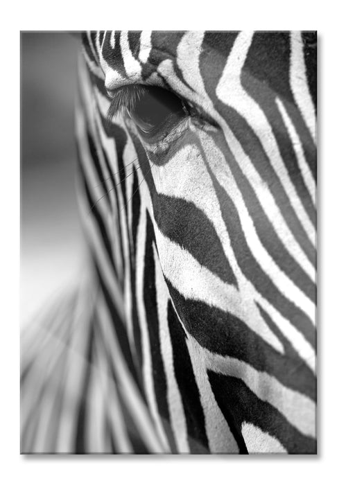 Pixxprint Zebra Nahaufnahme, Glasbild