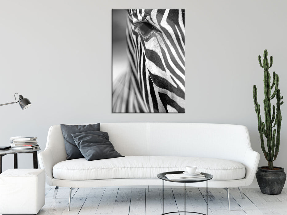 Zebra Nahaufnahme, Glasbild