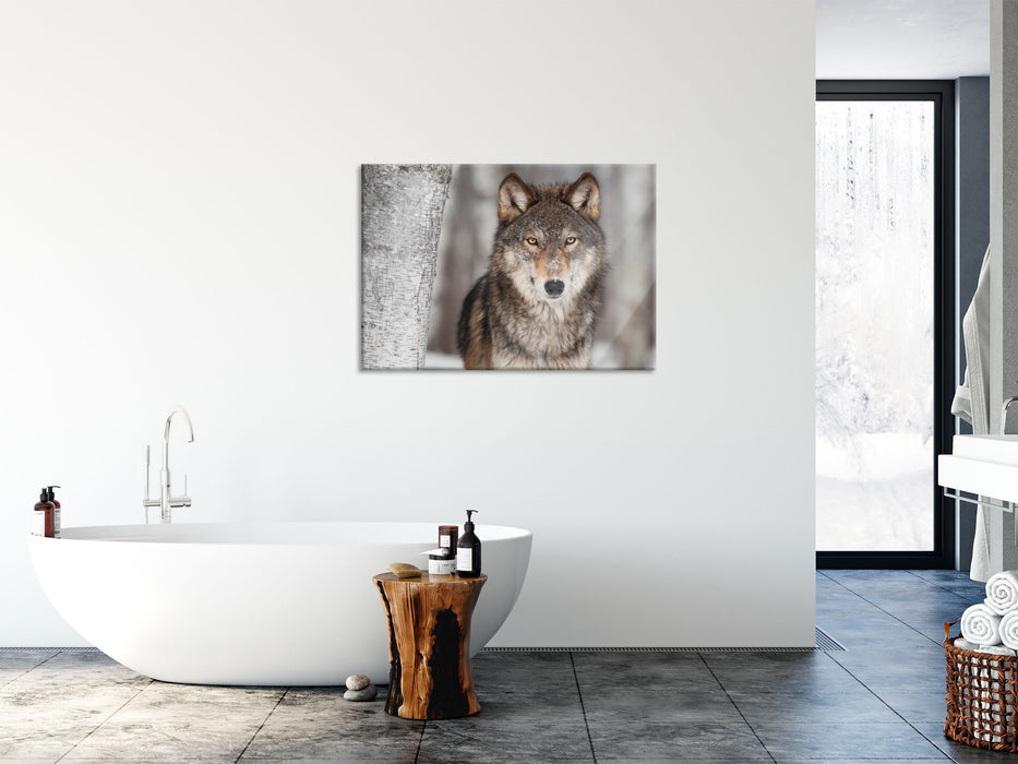 Wachsamer Wolf, Glasbild