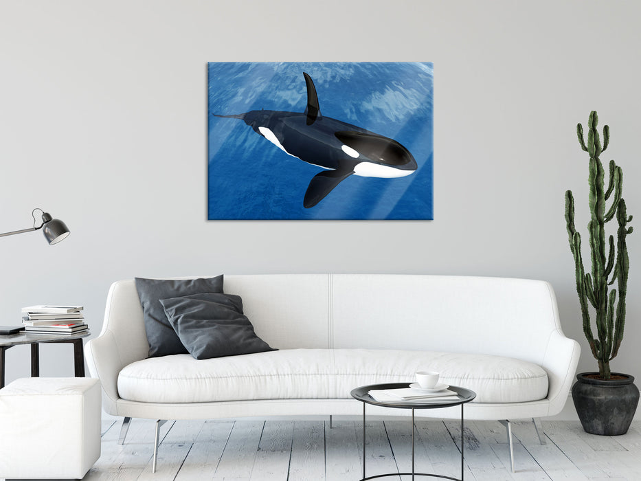 Orca im blauen Meer, Glasbild