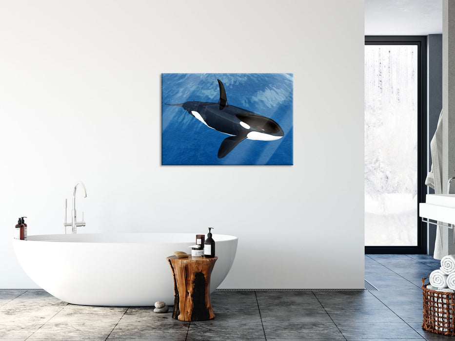 Orca im blauen Meer, Glasbild