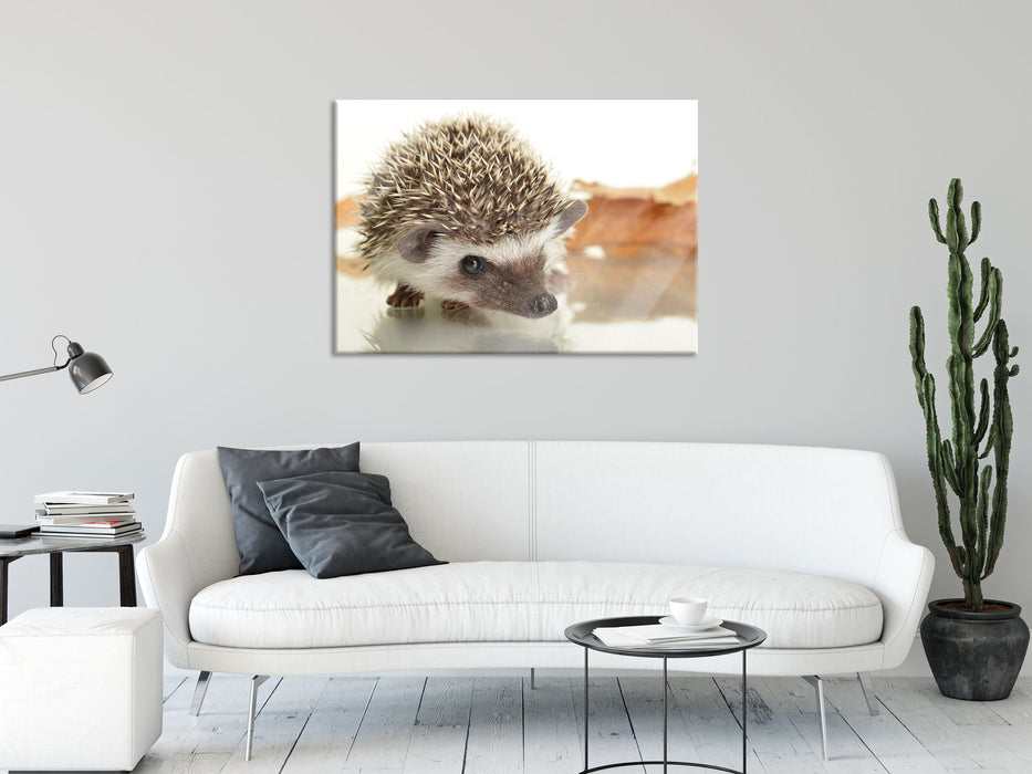 Süßer Igel, Glasbild