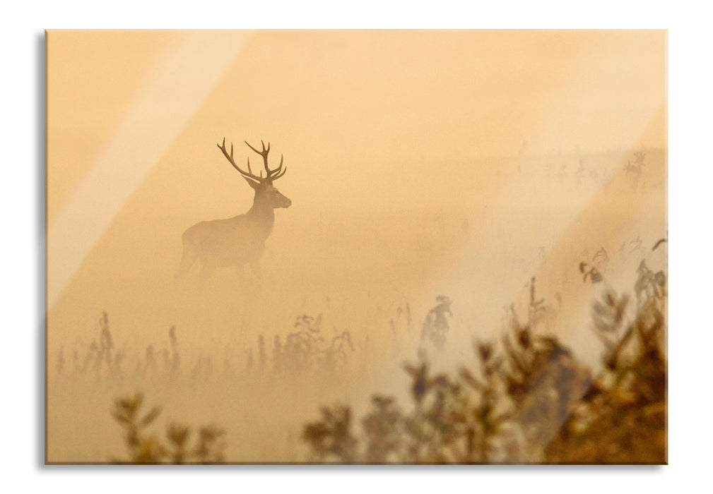 Pixxprint Hirsch im Nebel, Glasbild