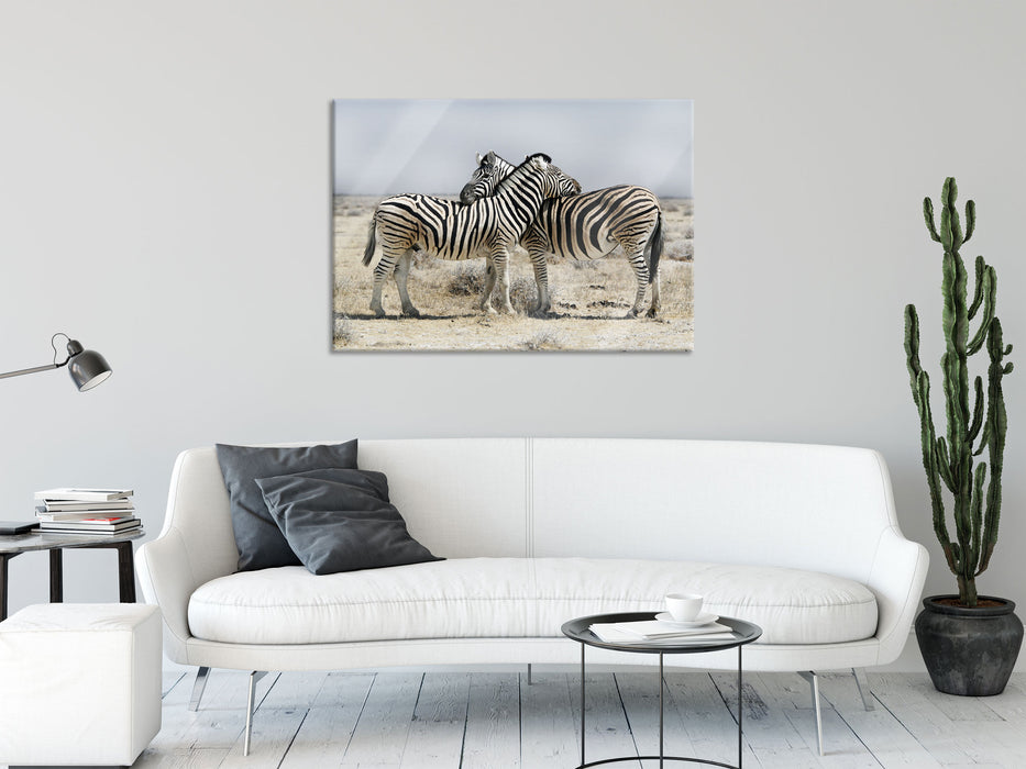 Schmusende Zebras, Glasbild