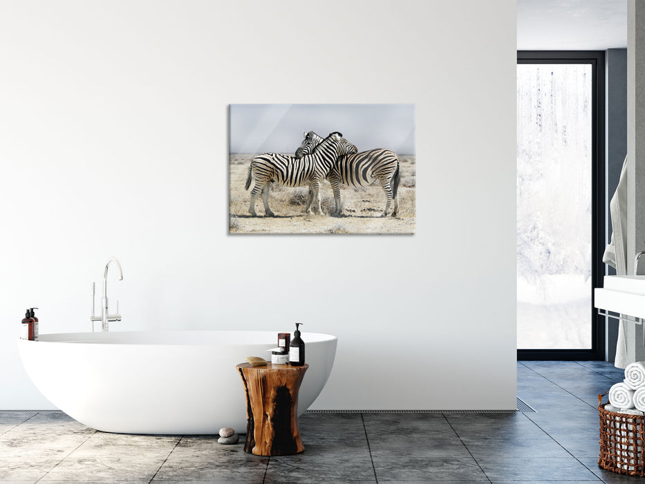 Schmusende Zebras, Glasbild