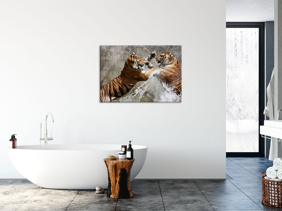 Kämpfende Tiger im Wasser, Glasbild