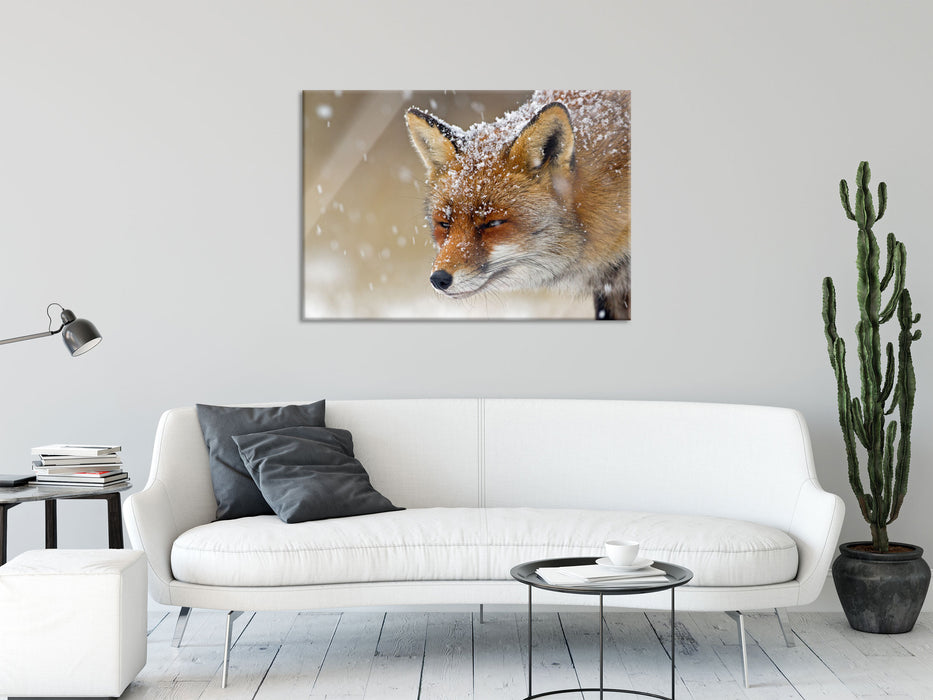 Fuchs im Schnee, Glasbild