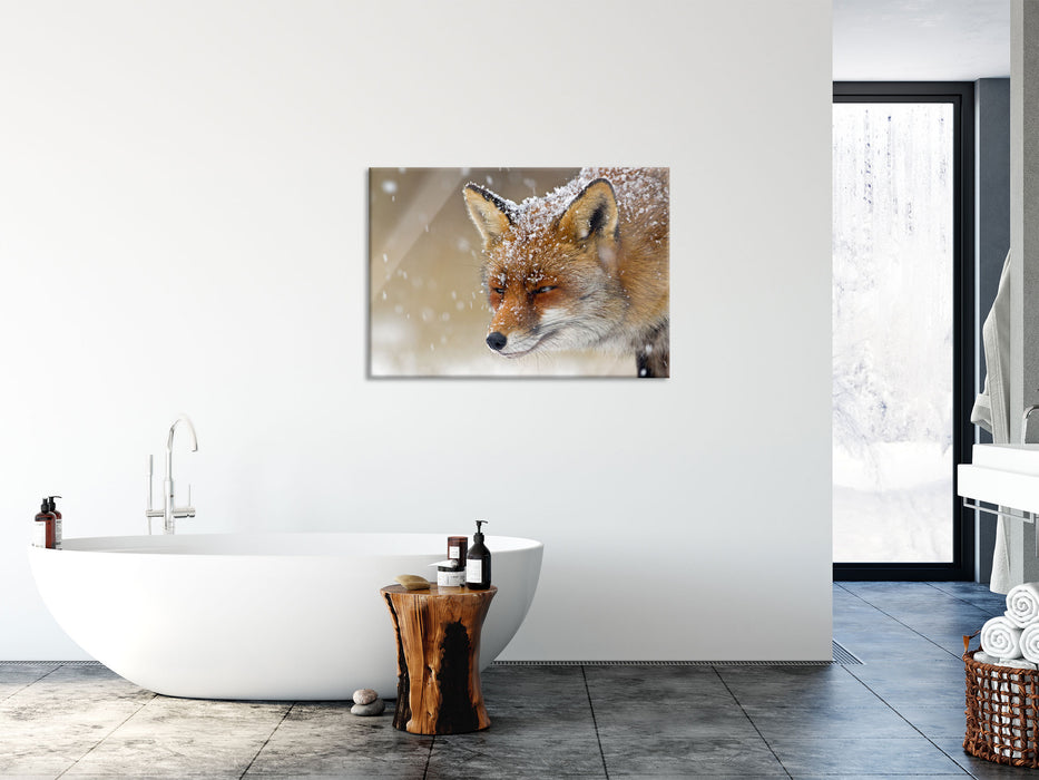 Fuchs im Schnee, Glasbild