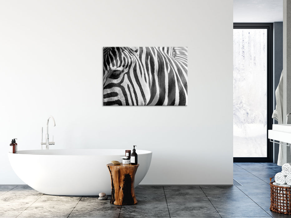 Zebra Porträt, Glasbild