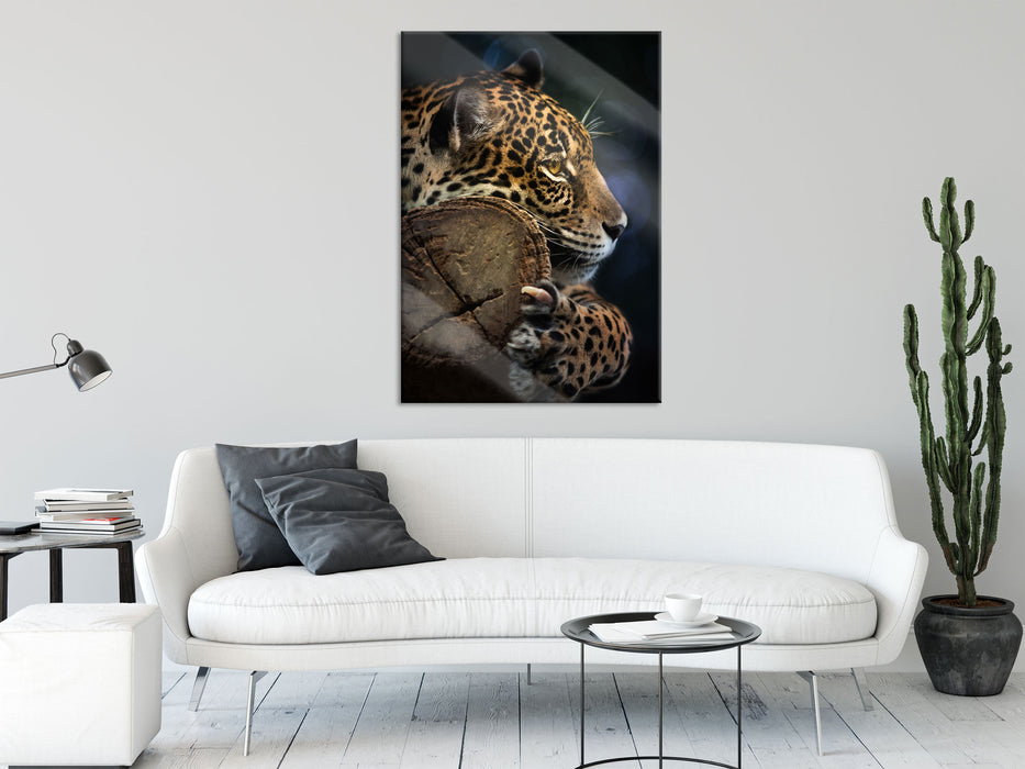 Wunderschöner Leopard, Glasbild