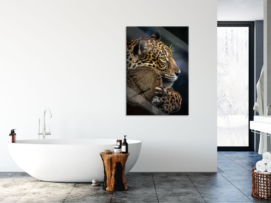 Wunderschöner Leopard, Glasbild