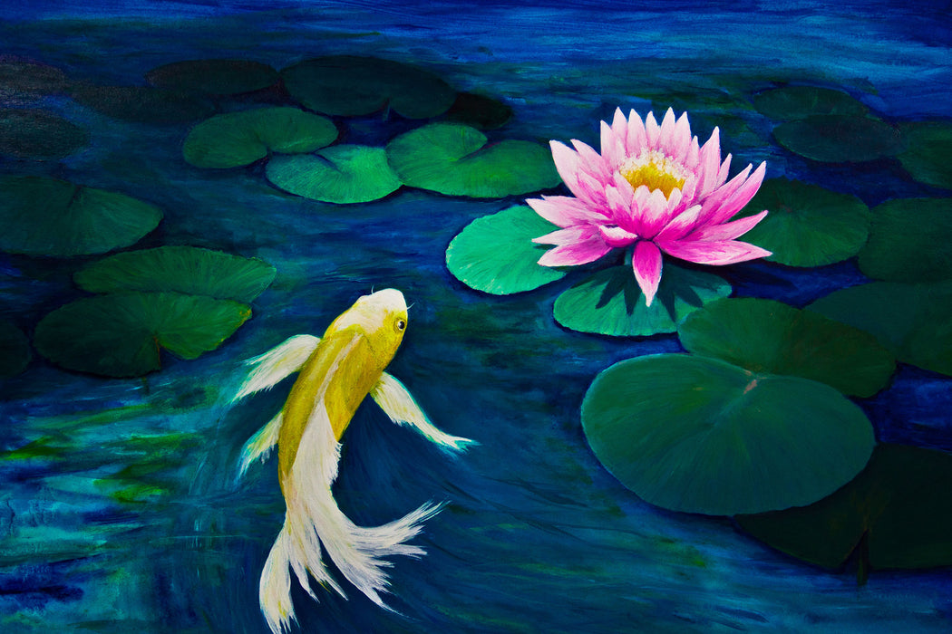 Koi mit Seerose Kunst, Glasbild