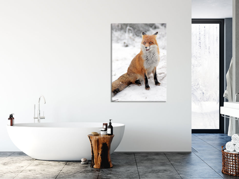 Fuchs im Schnee, Glasbild