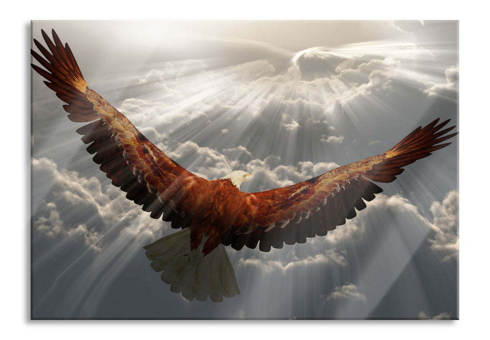 Pixxprint Adler über den Wolken, Glasbild