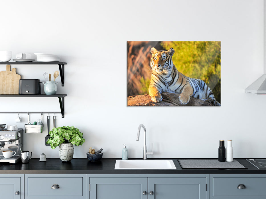 Stolzer Tiger, Glasbild