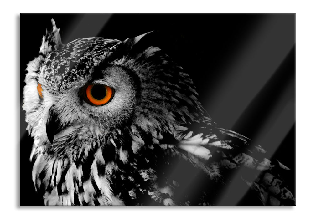 Pixxprint Dark Eule mit orangen Augen, Glasbild