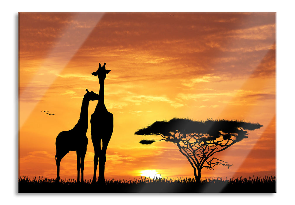 Giraffen im Sonnenuntergang, Glasbild