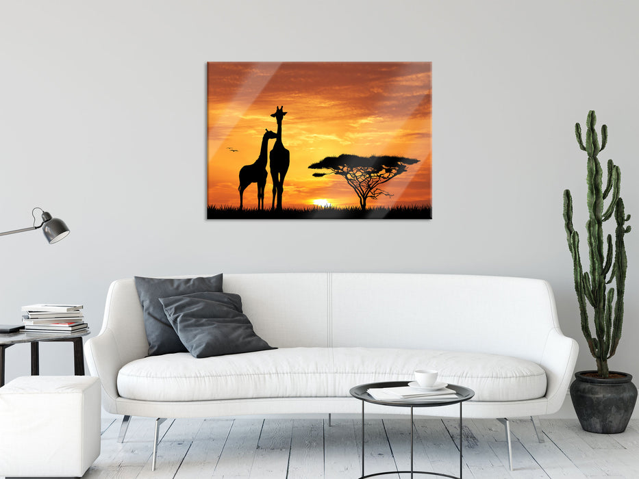 Giraffen im Sonnenuntergang, Glasbild