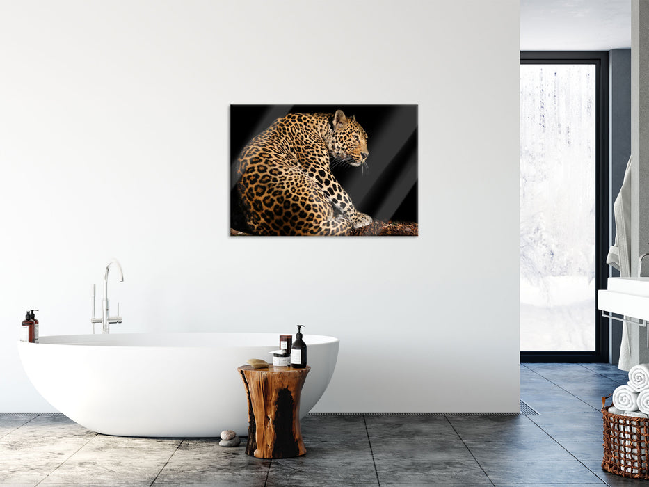 Anmutiger Leopard, Glasbild