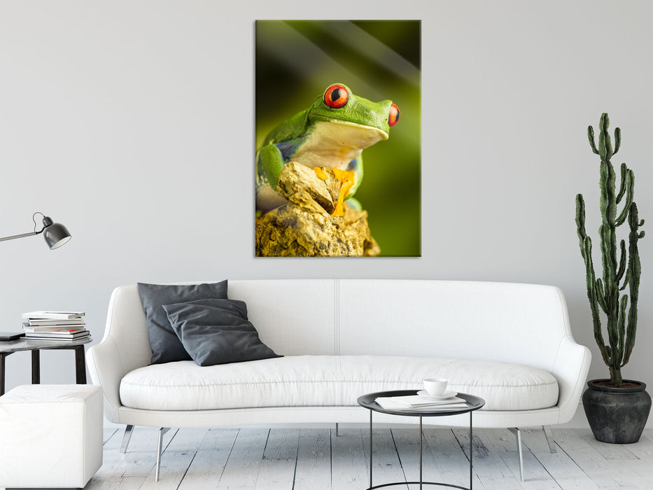 Grüner Rotaugen Frosch, Glasbild